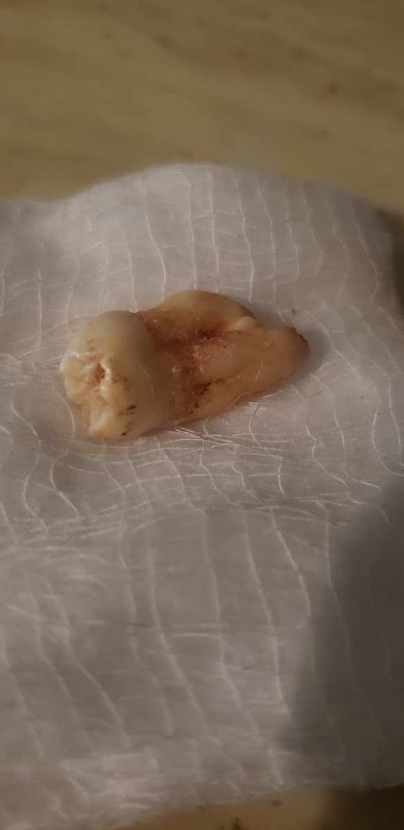 Capital Oral and Maxillofacial Surgery