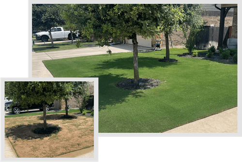 Central Texas Lawn Leveling