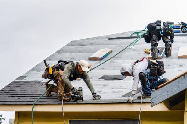 Barbaro Roofing